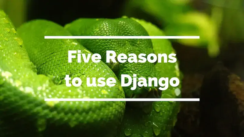 Cover image for Five Reasons to use Django